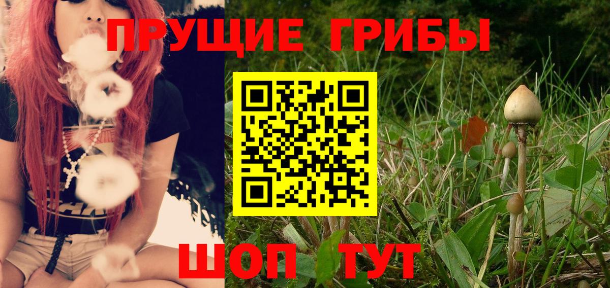 закладка  Вход с VPN  Заводоуковск  Галлюциногенные грибы Psilocybine cubensis 