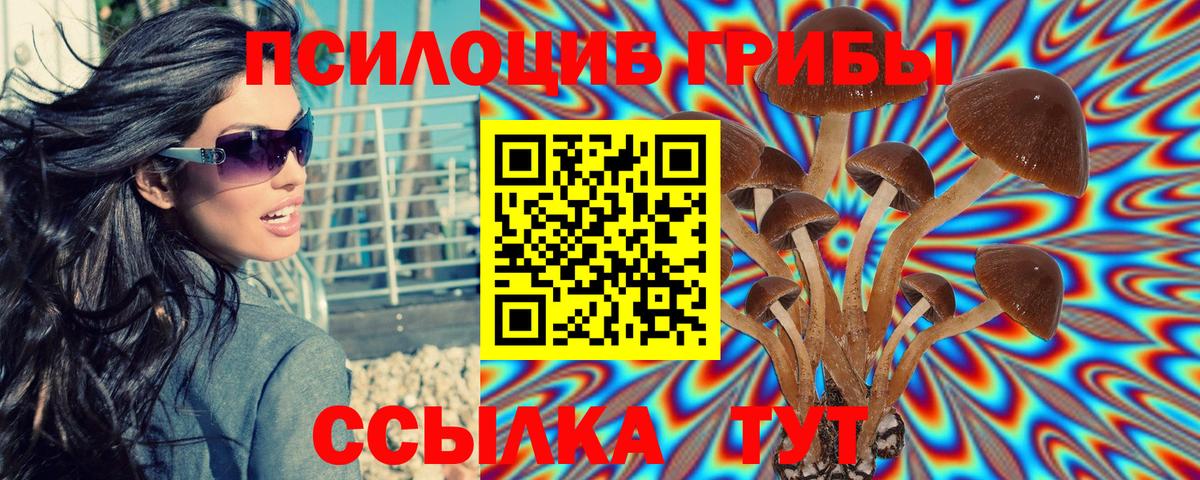 Галлюциногенные грибы GOLDEN TEACHER Заводоуковск